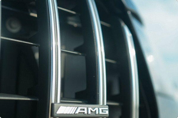 2020 MERCEDES AMG GT53 - Image 4